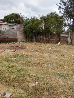 Kiganjo Mali Town Center Plot
