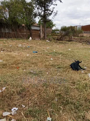 Kiganjo Mali Town Center Plot