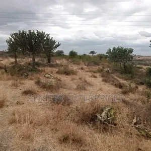 150 Acres for Sale With Ready Title Deed