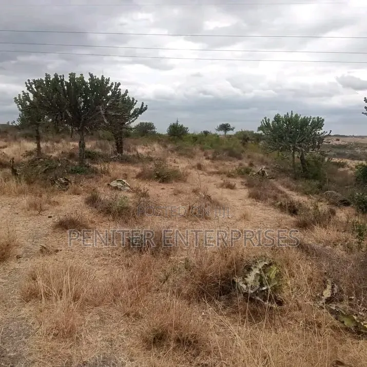 150 Acres for Sale With Ready Title Deed