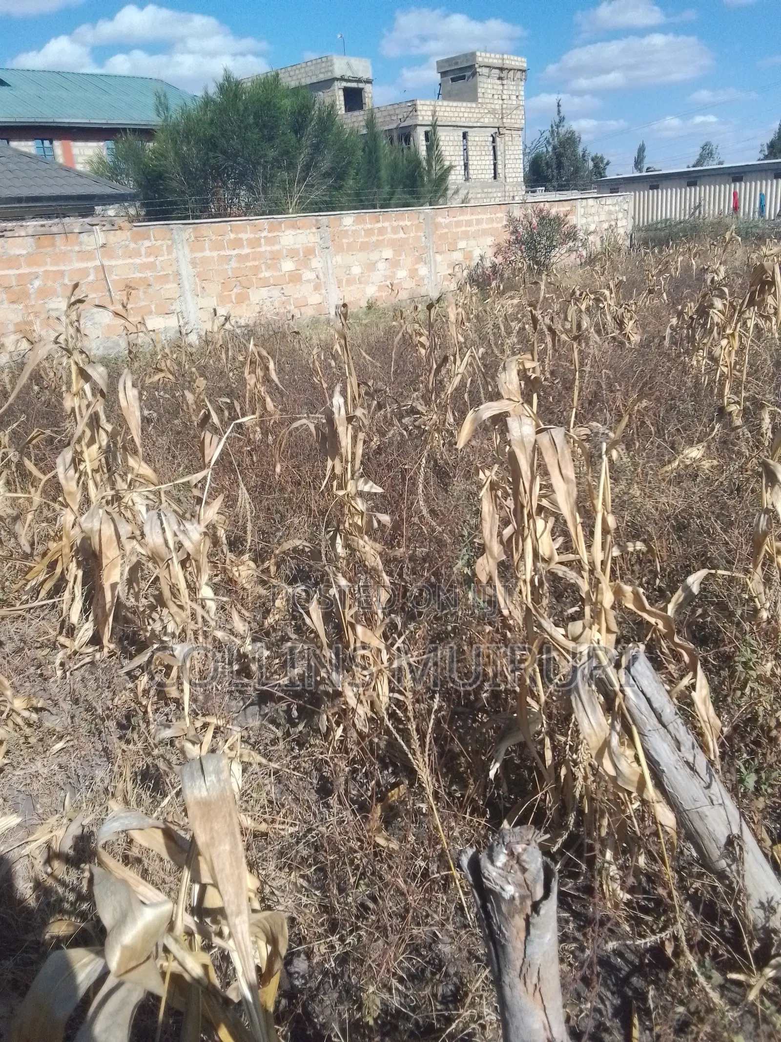 1/8 Acre Plot for Sale – Kiserian, Kajiado