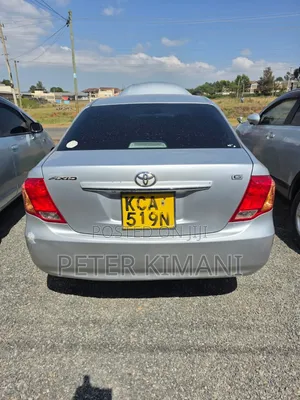 Toyota Axio 2010 Gray