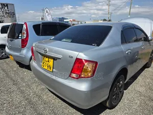 Toyota Axio 2010 Gray