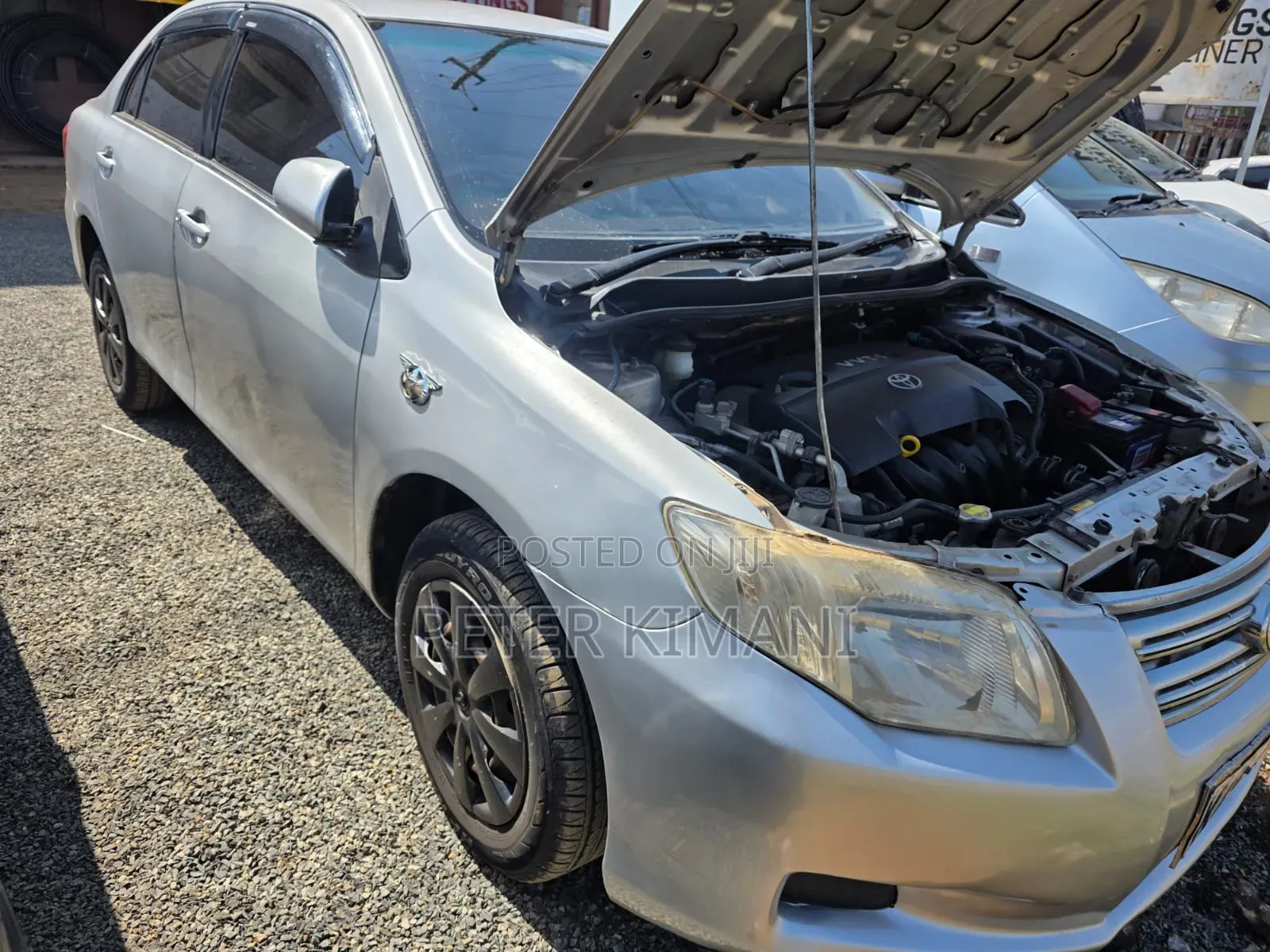 Toyota Axio 2010 Gray