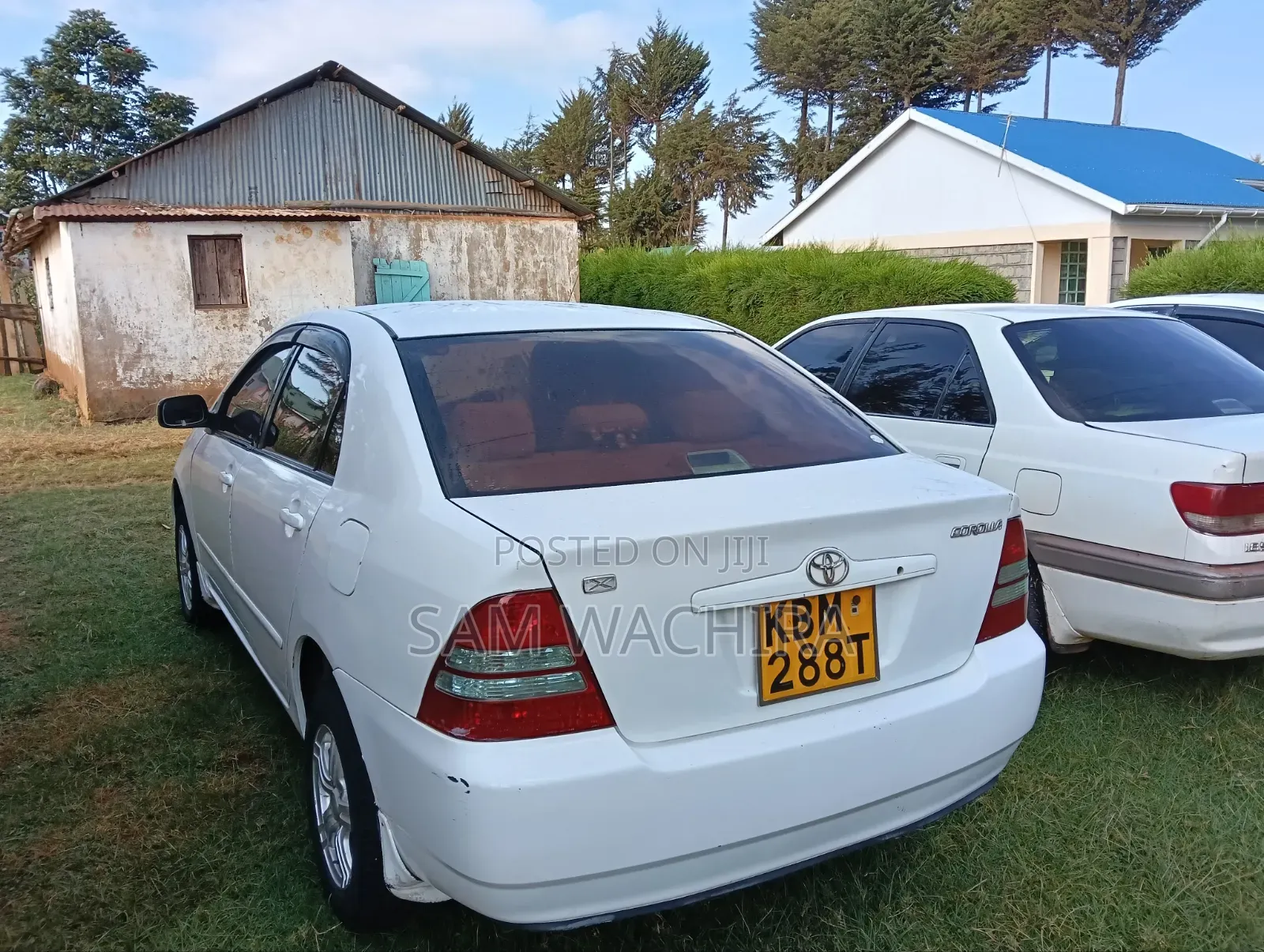 Toyota Corolla 2003 White