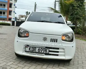 Suzuki Alto 2017 Pearl