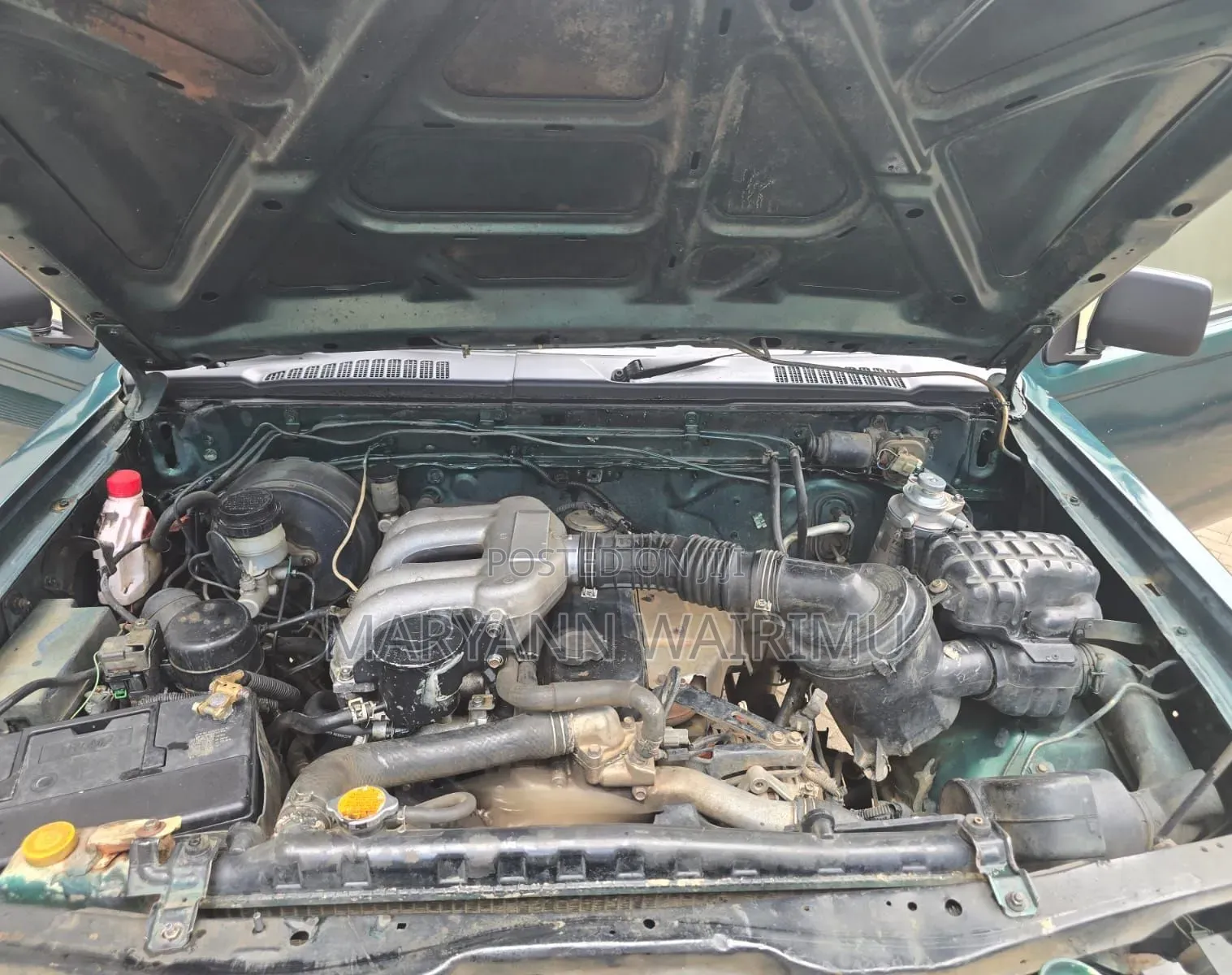 Nissan Hardbody 2008 Green