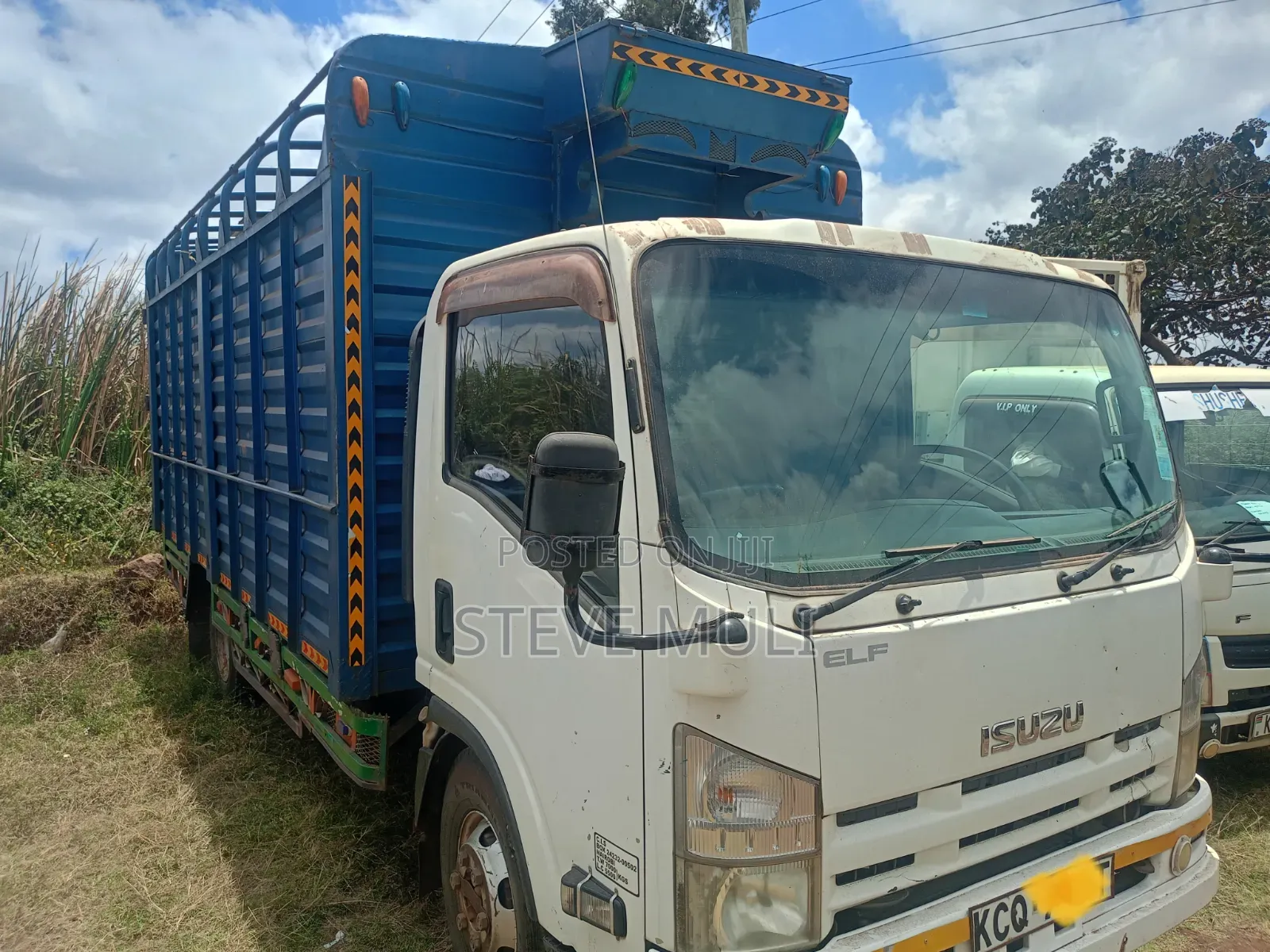 Isuzu Elf Lorry