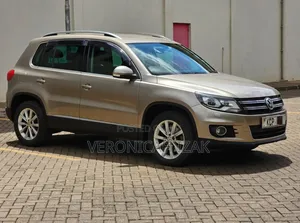 Volkswagen Tiguan 2012 Gold