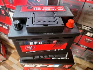 EFB Din 55 Automotive Battery