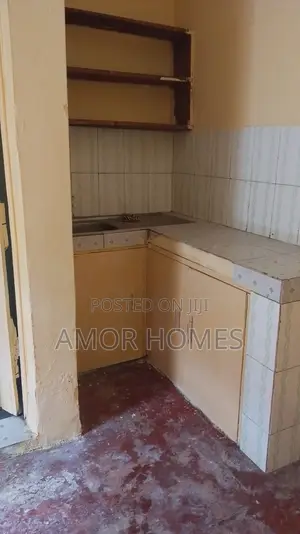 1bdrm Apartment in Leisure, Kongowea for rent