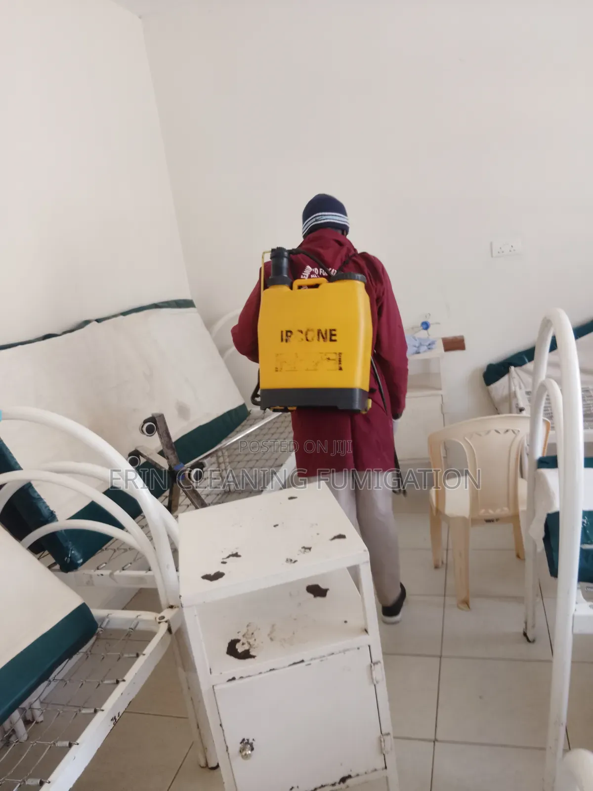 House Bedbugs Fumigation