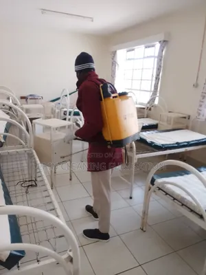 House Bedbugs Fumigation