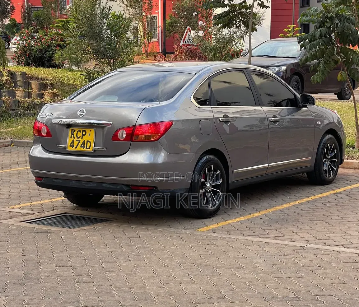 Nissan Sylphy 2010 Gray
