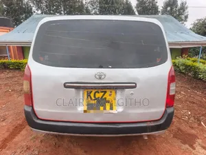 Toyota Probox 1.5 DX 2WD 2013 Silver