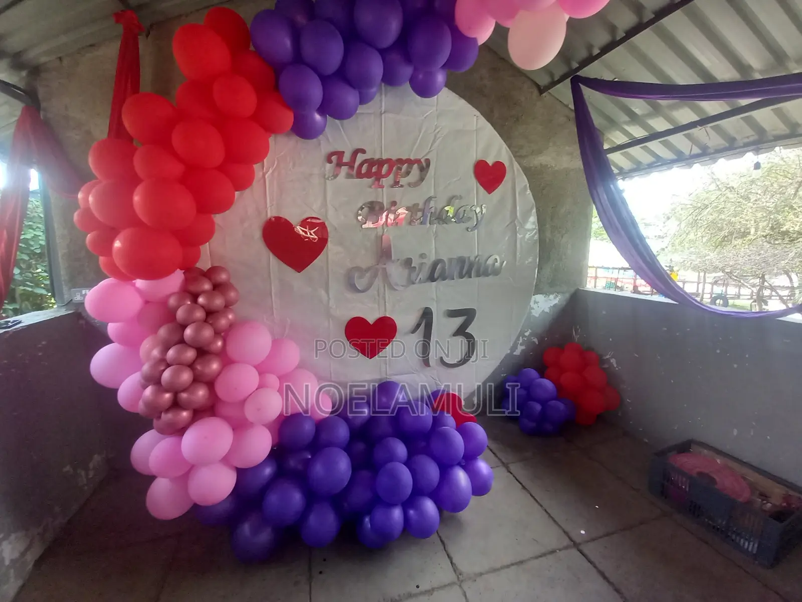 Balloon Photo/Back Drops