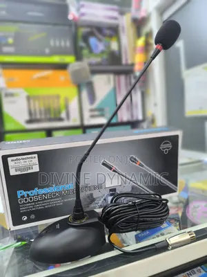 Gooseneck Microphone