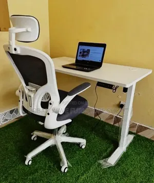 High Back Classic Chairs