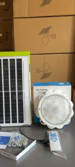 Ceiling / Solar Light