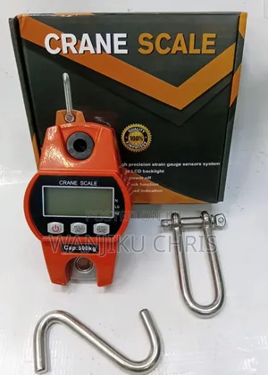 300kgs Crane Scale/Professional 300kgs Crane Scale