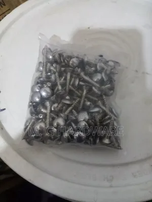 Mirror Screws 1"