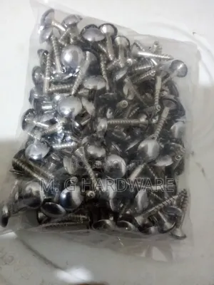 Mirror Screws 1"