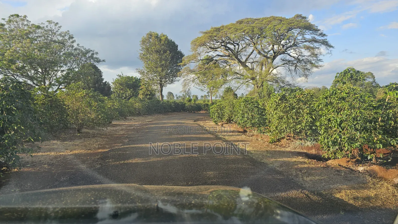 Land for Sale 110 Acres