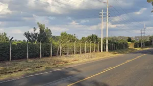 Land for Sale 110 Acres