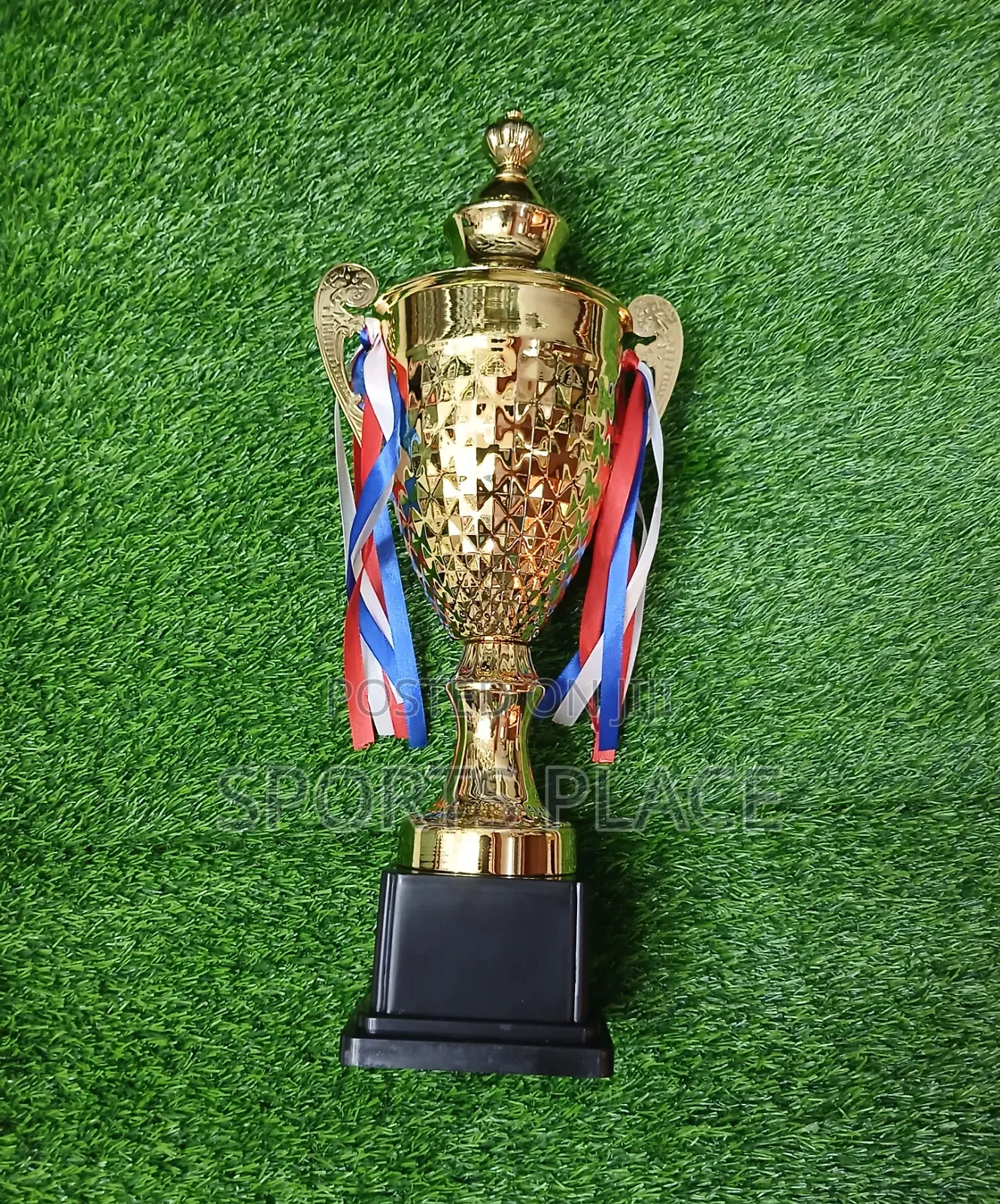 Gold Steel Award Trophy