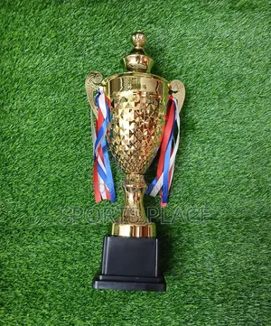 Gold Steel Award Trophy