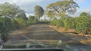 Land for Sale 8 Acres