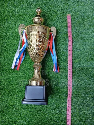 18" Metallic Golden Steel Trophy