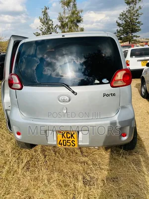 Toyota Porte 2009 Silver