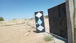 Prime Plot in Lodwar
