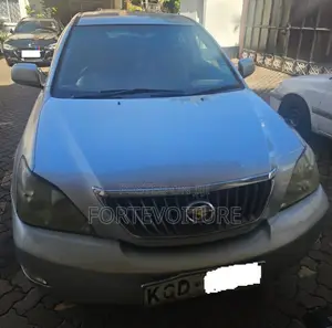 Toyota Harrier 2009 Silver