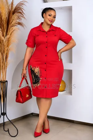 Beautiful Ladies Shirt Dress
