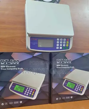 Digital Weighing Scale DT580