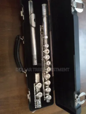 Professional Flute (Trevor J.James ) 8411