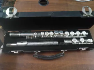 Professional Flute (Trevor J.James ) 8411