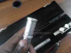 Professional Flute (Trevor J.James ) 8411