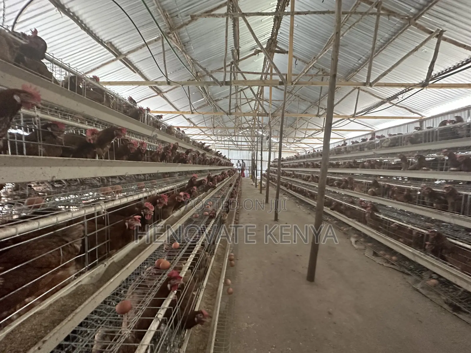 Battery Layers Cage