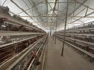 Battery Layers Cage