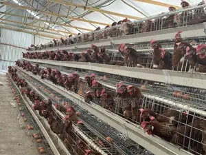 Battery Layers Cage