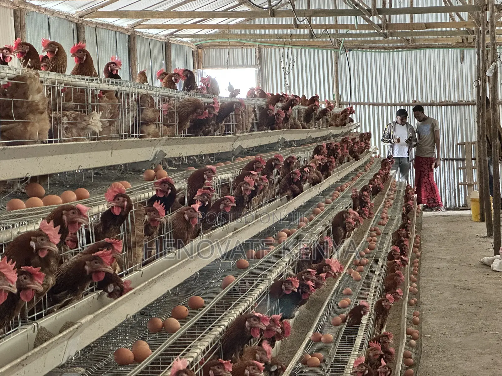 Battery Layers Cage