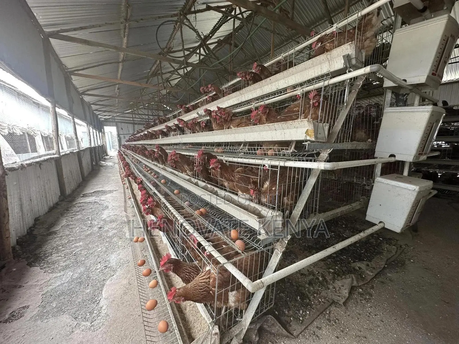 Battery Layers Cage