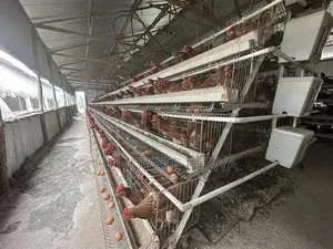 Battery Layers Cage