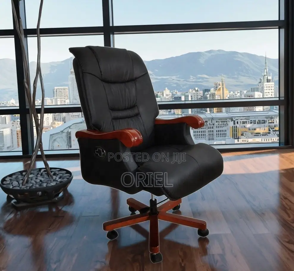 Ergonomic Office Leather Chair : Premium Executive Chair