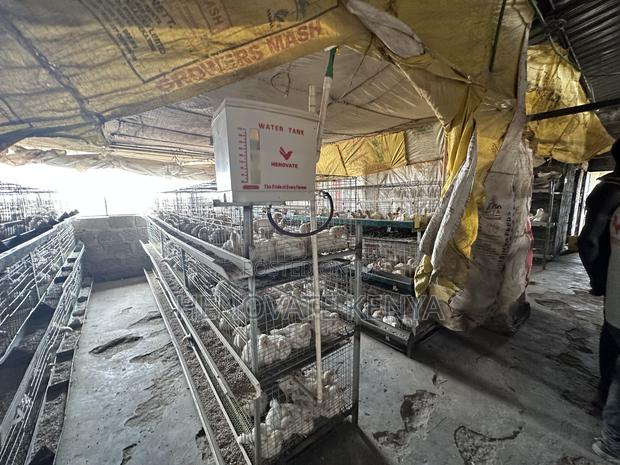 Broiler Battery Cage - thumbnail 2