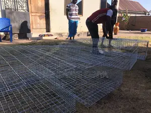 Broiler Battery Cage