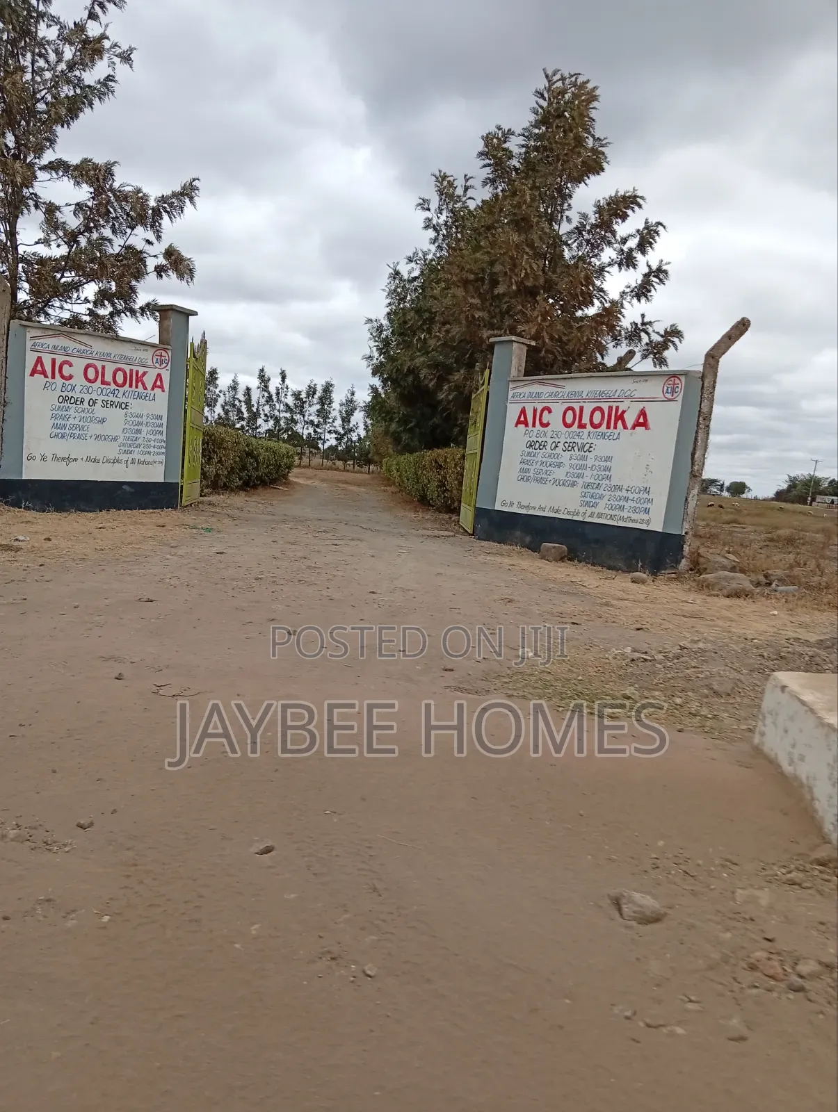 Acacia Plots